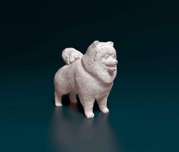 pommerschen Hund Spitz Tier gedruckt stl obj druckbar 3d print model - Mito3D