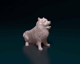 poméranien 3d impression modèle in figurines 3dexport chien animal printready stl obj loulou 3d print model - Mito3D
