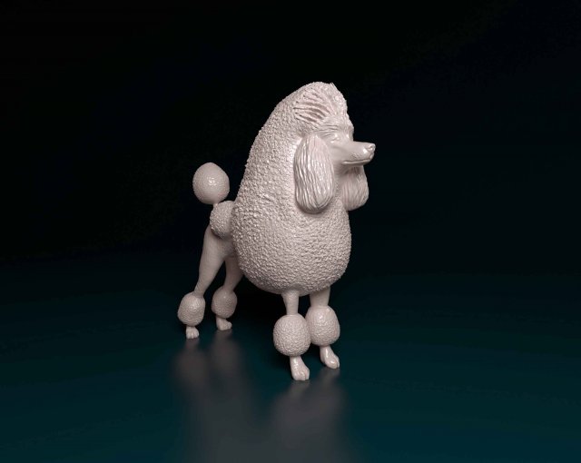 Pudel kontinental Hund Tier gedruckt druckbar stl obj 3D print model - Mito3D