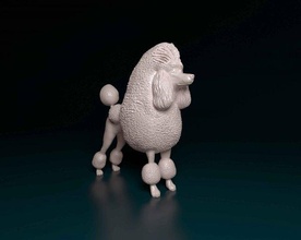 caniche continental chien animal printready imprimable stl obj 3d print model - Mito3D