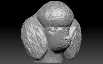 kaniş baş 3d baskı yazdır model in heykel 3dexport almanca çoban köpek husky boğa teriyer pitbull boksör rottweiler fransızca bulldog altın av köpeği labrador shiba dane daksund yorkshire 3d print model - Mito3D