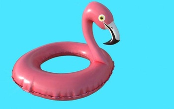 pool floats 3d model in dolphin 3dexport inflatable swimming beach sea circle flamingo toucan peacock toy ocean sand pink swim plastic child float exterior 3d print model - Mito3D