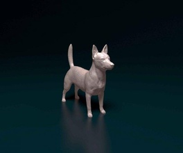 Portugais podengo chien animal printready stl obj imprimable rubbit 3d print model - Mito3D