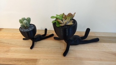 pose planter pack 1 decor plant suculent art vase 3d print model - Mito3D