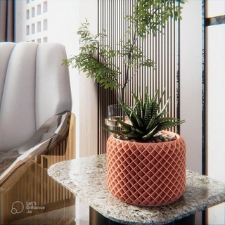 Topf Pflanze Honig Dekor Kaktus jardín dcor 3d print model - Mito3D