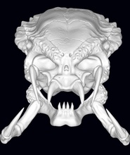 predador crânio 3d impressão modelo in monstros criaturas 3dexport 3d print model - Mito3D