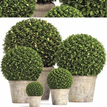 konserviert Buchsbaum Globus rh Innen Pflanze 219 Busch Wiederherstellung Hardware Vase 3d print model - Mito3D