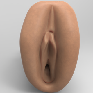 pssy masturbator2 genital genitals stroker masturbators printable female girl 3d print model - Mito3D