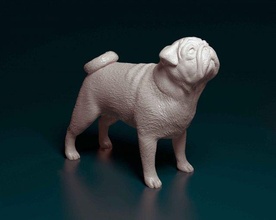 pug dog animal printready stl obj 3d print model - Mito3D