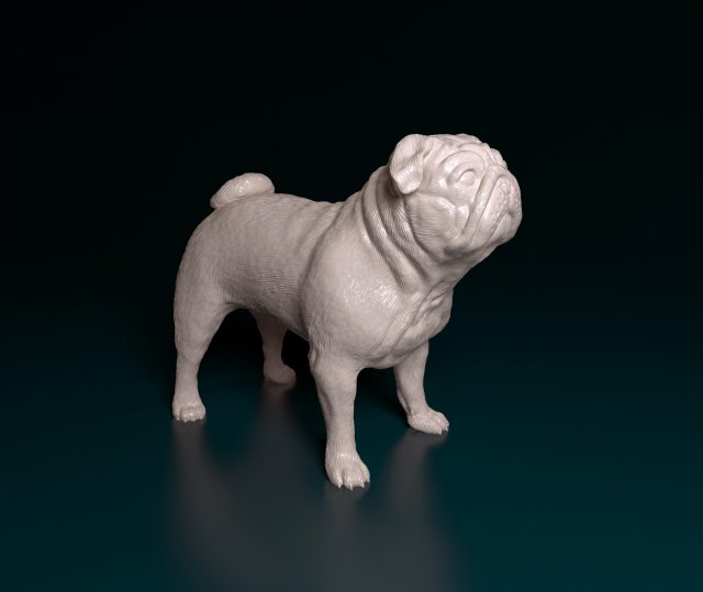 pug cão 2 3d impressão modelo in estatuetas 3dexport animal printready imprimível stl obj 3D print model - Mito3D
