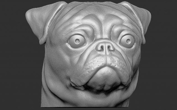 pug head 3d printing print model in sculpture 3dexport terrier american amstaff dobermann husky bust dane dog animal anatomy french bulldog rottweiler pitbull tzu labrador dachshund 3d print model - Mito3D