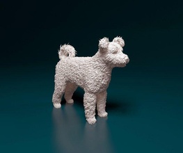 pumi dog animal printready printable stl obj 3d print model - Mito3D