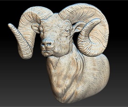ram - relief 2019 animal medal medalion coin money sheep 3d print model - Mito3D