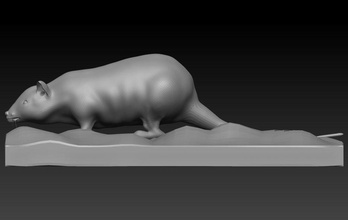 rat animal zoo marin 3dprinter 3dprinted 3dprinting sauvage faune 3d print model - Mito3D