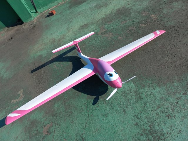 rc cartoon scale mini sailplane wingspan 1450mm 3d print model in 3dexport glider radio control 3D print model - Mito3D