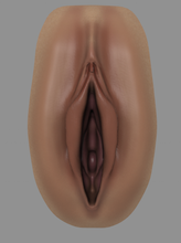 realistic female vagina realistic genital anatomically vagina organ female woman sex