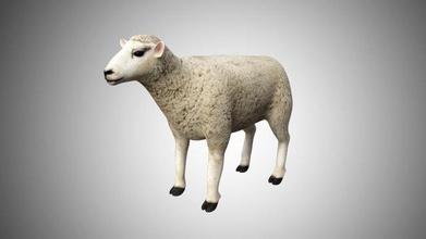 realistic high detailed rigged poly sheep electric eel kiwi lion cub husky dog woollen 3d print model - Mito3D