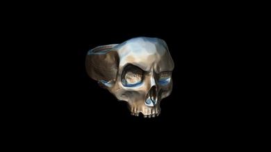 realistic skull ring 3d print model in rings 3dexport anatomy bone bones gold human jewelry pehdant pendants silver skeletals keleton 3d print model - Mito3D