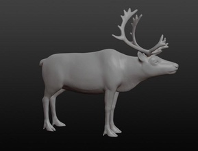 renna base maglia animale mammifero cervo caribù fulvo settentrionale fauna selvatica natura basemesh 3d print model - Mito3D