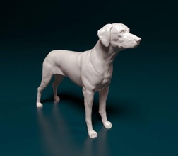 rhodesian ridgeback 3d print model in figurines 3dexport dog animal printrady stl obj printable ridge 3d print model - Mito3D
