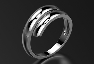 ring0018 free 3d print model in rings 3dexport ring jewelry jewellery fashion spiral 3d print model - Mito3D