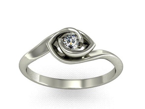 ring2 ring 3d print model - Mito3D