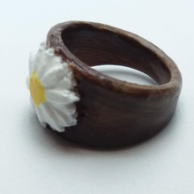 ring embedded daisy 3d print model in rings 3dexport flowers embossed daisies 3d print model - Mito3D