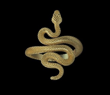 bague serpent 3d impression modèle anneaux vipère sonnette poison cobra python anaconda boa imprimante miniatures figurines or argent bijoux 3d print model - Mito3D