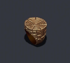 ring tree texture 3d print model in rings 3dexport plant vegetation forest leaf leaves wood bark branches nature organic ornamental lineage printable root jewelry bush trunk twig 3d print model - Mito3D