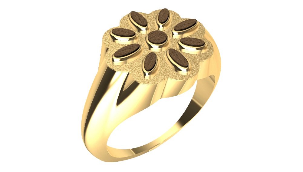 anneau de bois l'anneau 3D print model - Mito3D