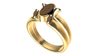 anillo de madera 3d print model - Mito3D