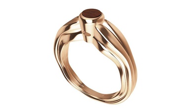 anneau de bois l'anneau 3d print model - Mito3D