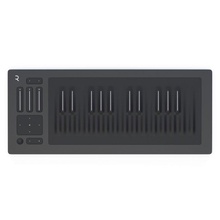 roli seaboard rise 25 3d model in electronic 3dexport digital piano keyboard music musical sound korg controller audio synthesizer instrument synth play roland akai 3d print model - Mito3D
