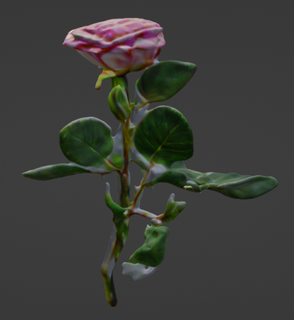 Rosa 3d impresión stl obj fbx gratis escultura flor modelo planta maceta jardín naturaleza botánico floral decoración san valentin 3d print model - Mito3D