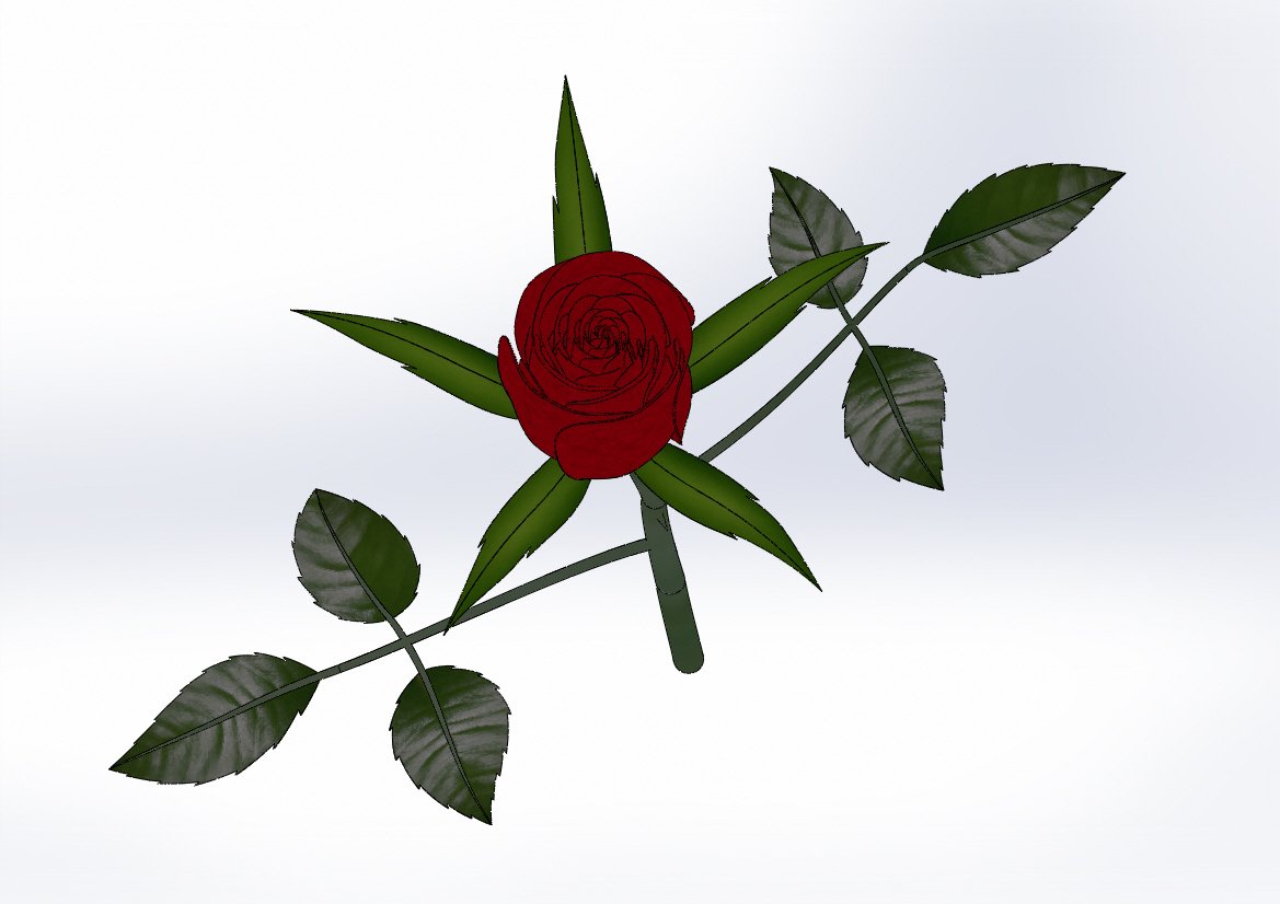 rose flower 3d model design printed natural 3D print model - Mito3D