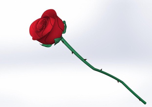 rose Blume 3d-gedruckte Modell nalural schön 3d die Modellierung bedruckbar ist stl pflanze Baum 3d print model - Mito3D
