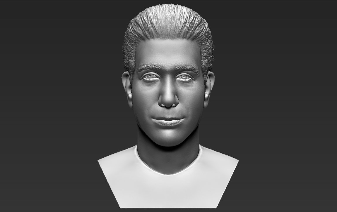 ross geller amigos busto de impressão 3d pronto stl obj formatos os televisão mostrar celebridade comédia mônica chandler bing joey tribbiani rachel o verde hollywood 3D print model - Mito3D