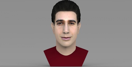 ross geller friends bust ready full color 3d printing tv show celebrity comedy monica chandler bing joey tribbiani rachel green hollywood 3d print model - Mito3D