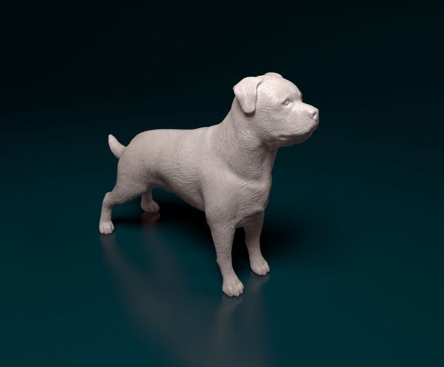 rottweiler 3d stampa modello in figurine 3dexport mastino cane animale printready stampabile stl obj 3D print model - Mito3D