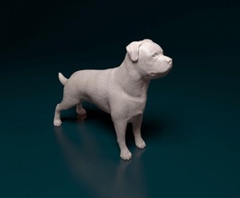 rottweiler 3d print model in figurines 3dexport mastiff dog animal printready printable stl obj 3d print model - Mito3D