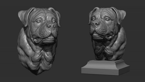 rottweiler büst köpek hayvanlar Evcil Hayvan ingilizce heykel Sanat baş dekor yazdırılabilir minyatürler kolye cnc Rahatlama takı heykeller 3d print model - Mito3D