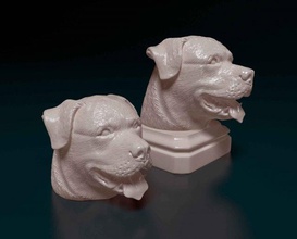 rottweiler cabeza mastín perro animal imprimible stl obj listo imprimir busto 3d print model - Mito3D
