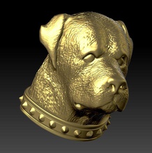 rottweiler head collar 3d print model in 3dexport jewelry printable pendant dog gold beast wild silver 3dm stl 3ds obj cad high poligonal nature 3d print model - Mito3D