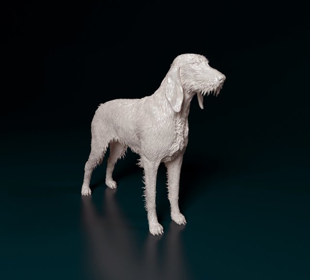 rough haired segugio 3d impression modèle in figurines 3dexport italien chien animal imprimable printready stl obj 3D print model - Mito3D