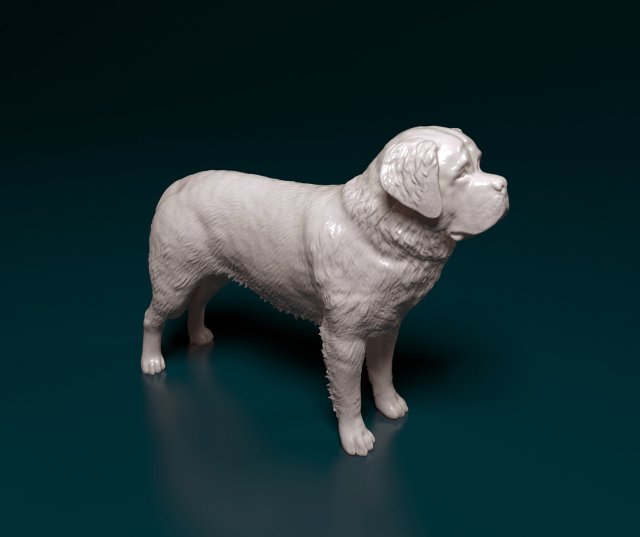 saint bernard chien 3d impression modèle in figurines 3dexport animal imprimable stl obj mastiff 3D print model - Mito3D