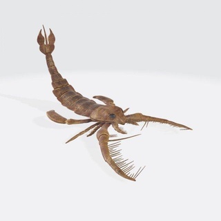 akrep hazır Yazdır heykel imparator hayvanlar yaratık böcek zehir şekil heykelcik Sanat heykeller omurgasız doğa zehirli acı çöl Tehlike minyatürler 3d print model - Mito3D