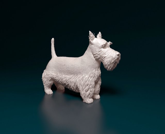 escocés terrier Escocia perro animal listo imprimir stl obj imprimible 3D print model - Mito3D