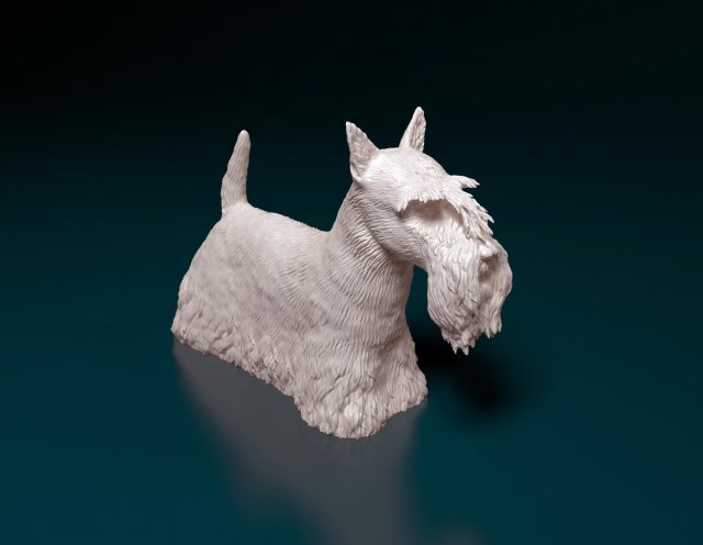 escocês terrier cão Escócia animal printready imprimível stl obj 3D print model - Mito3D
