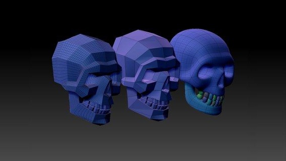 coppia scultura scheletro Stampa testa anatomia stampabile arte cranio 3d print model - Mito3D