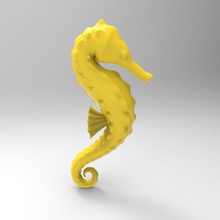 hippocampe 3d impression modèle in animaux 3dexport poisson océan 3d print model - Mito3D